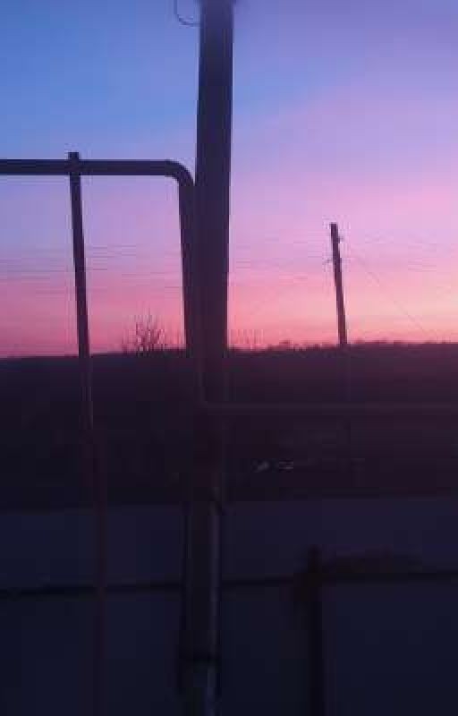 Моя первая и искренняя любовь