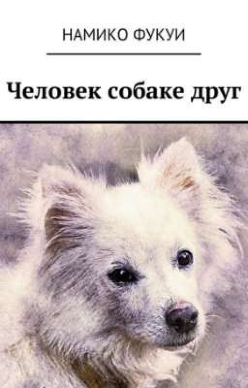 Человек собаке друг