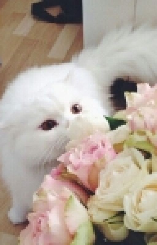 .•°Бунтарка°•