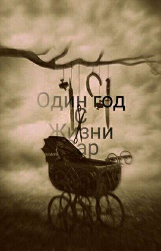 Один год с жизни Сар