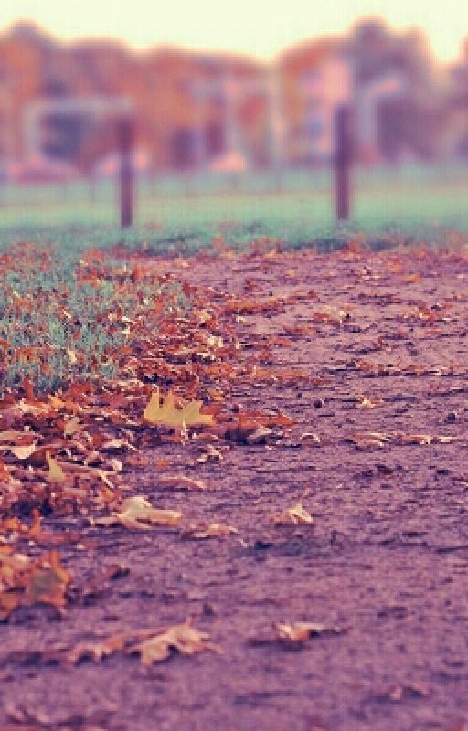 Ты как я, а я как ты