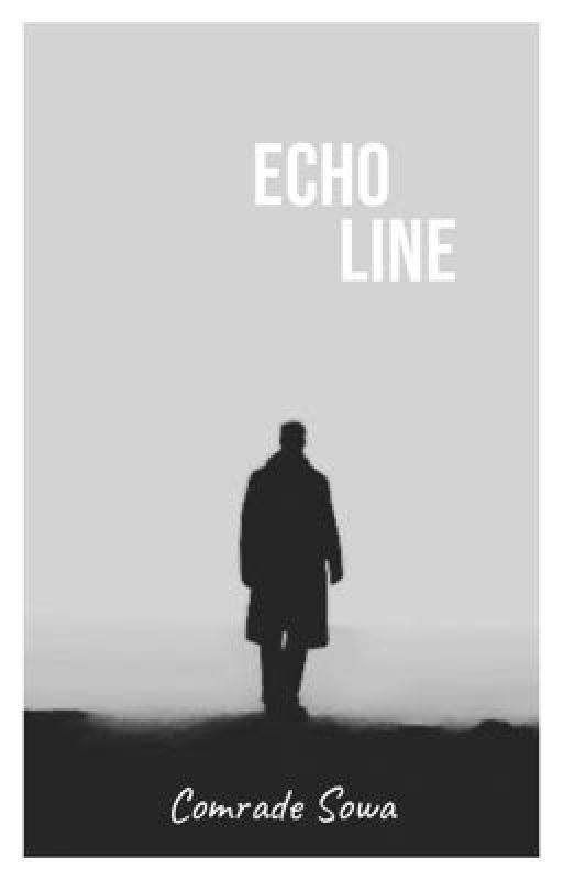 Линия эхо