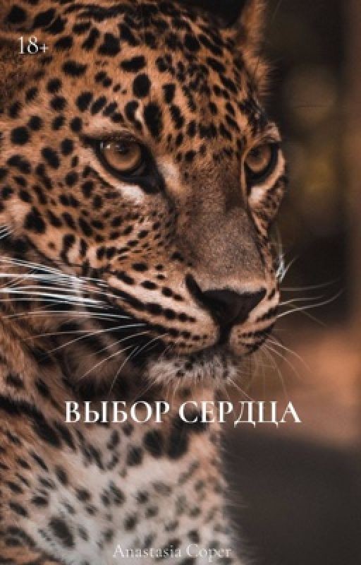 Выбор сердца