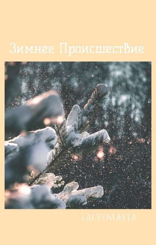 Зимнее Происшествие