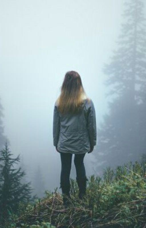 Фактор моей ярости