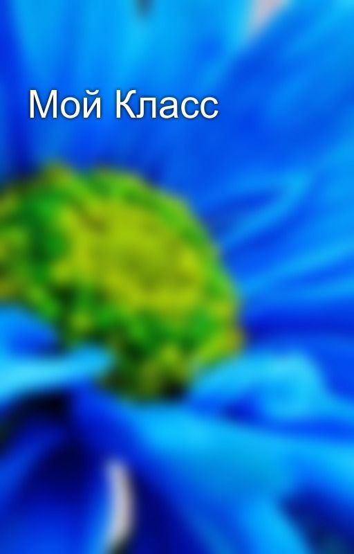 Мой Класс