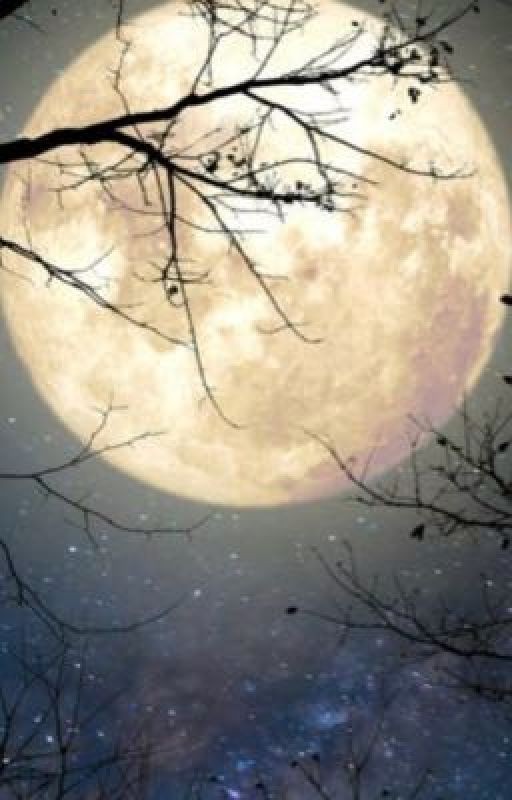 Лунный свет