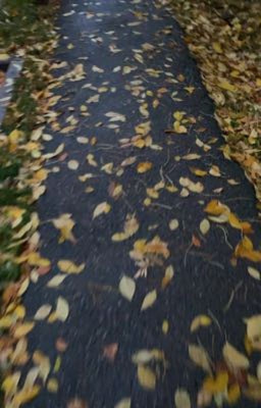 Преданный 2019