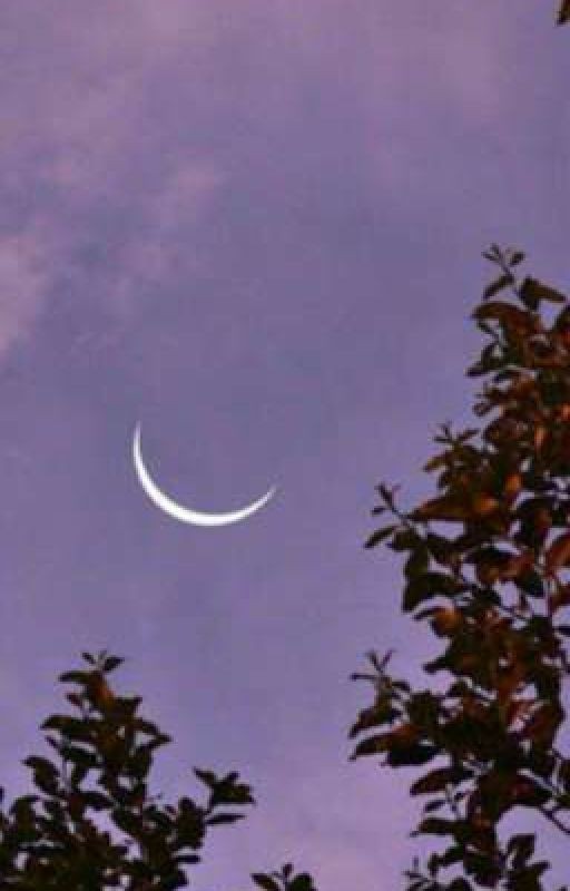 Юность, сигареты и любовь