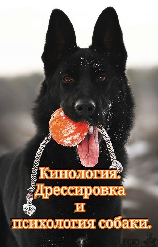 Кинология для каждого. Дрессировка и психология собаки