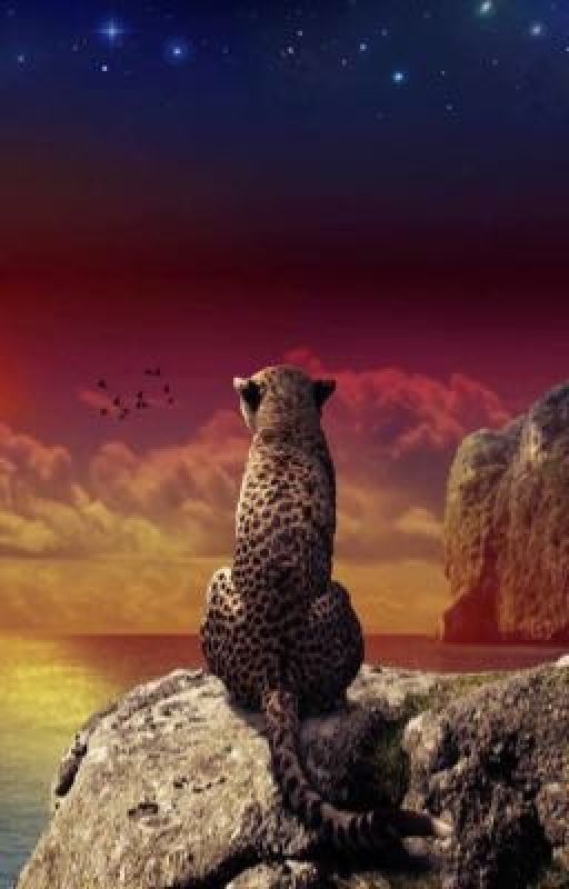 Коты-воители.Судьба племени