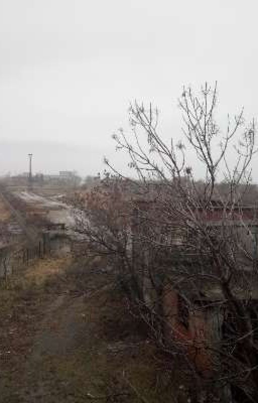 Творец Нового Мира