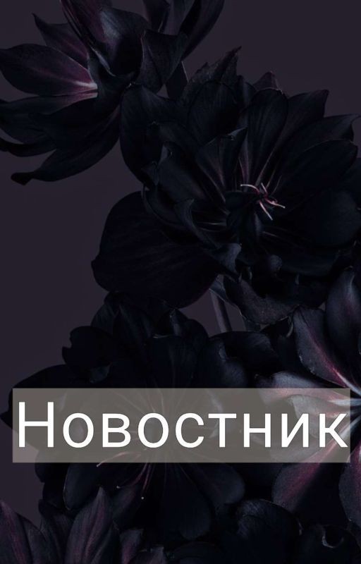 Новостник