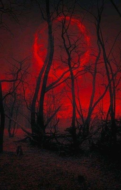 Невеста Вампира
