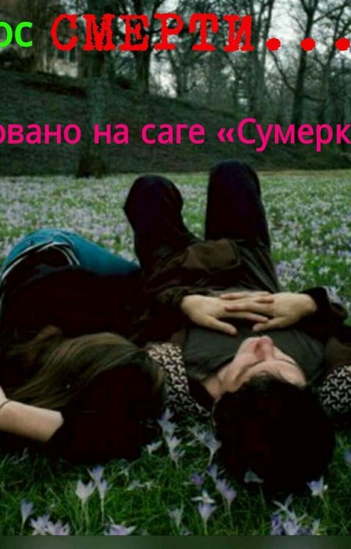Последний шанс