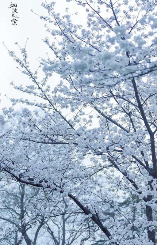 Спустя века