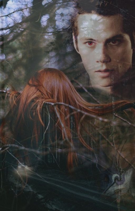 Плоть и Кости【Sterek】