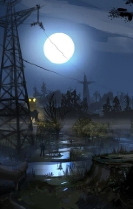 S.T.A.L.K.E.R. Последний бой