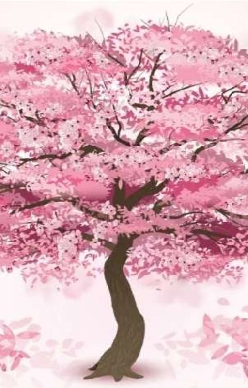 🌸Сакура Хадзиме🌸