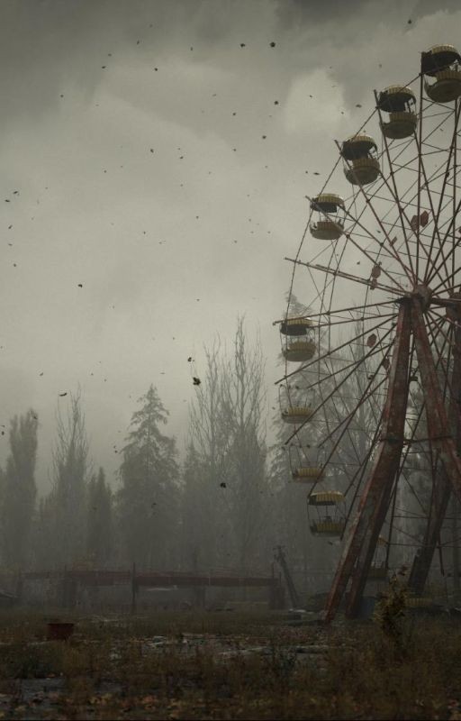 S.T.A.L.K.E.R. Дневник Новичка