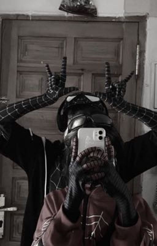 Spiders team