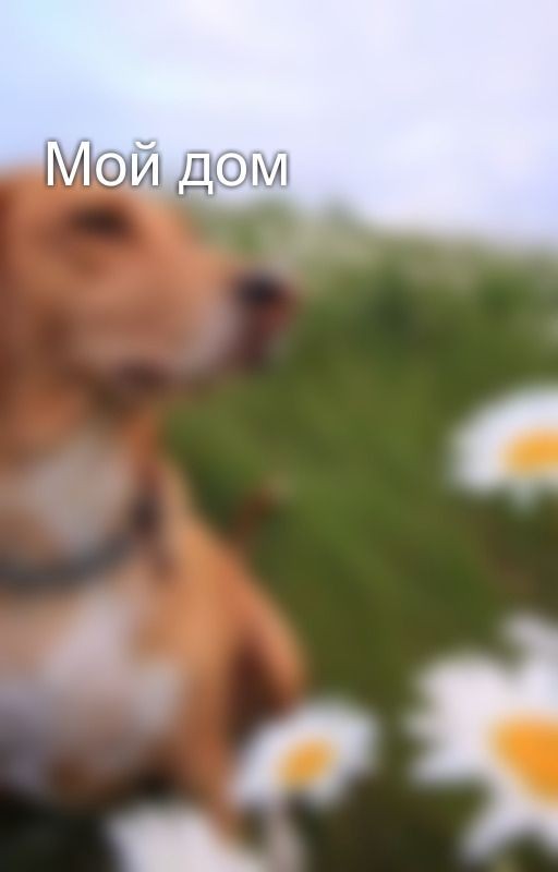 Мой дом