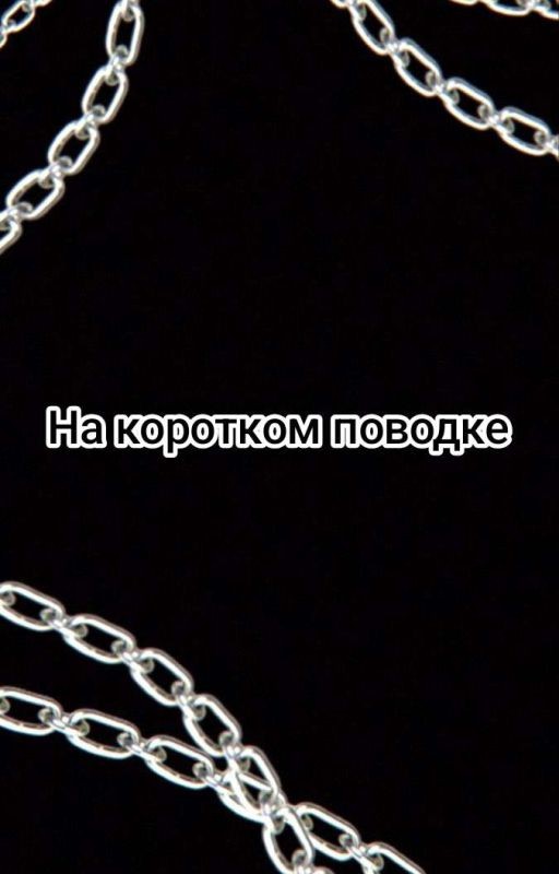 На коротком поводке