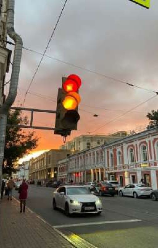 Трус
