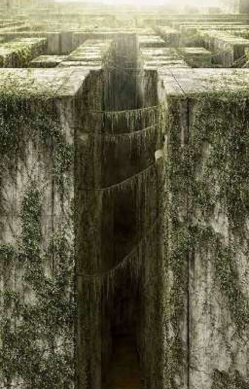 Связанные судьбой