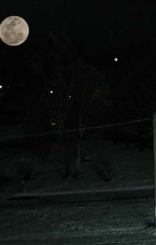 Судная ночь. Смогу ли я выжить?