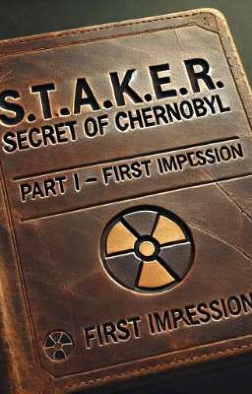 S.T.A.L.K.E.R. Загадка Чернобыля Часть І: Первое Впечатление