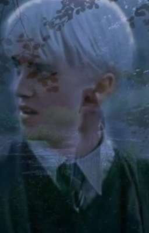 Новенький изменивший всё