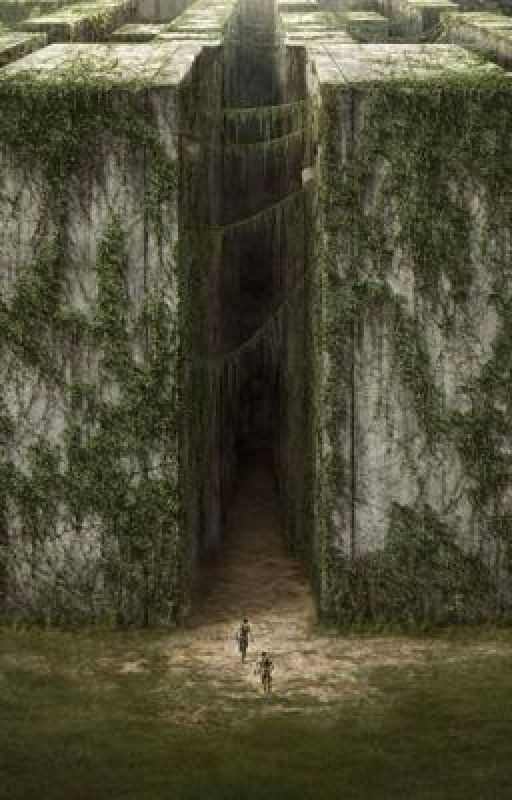 Бегущий в лабиринте, переменная
