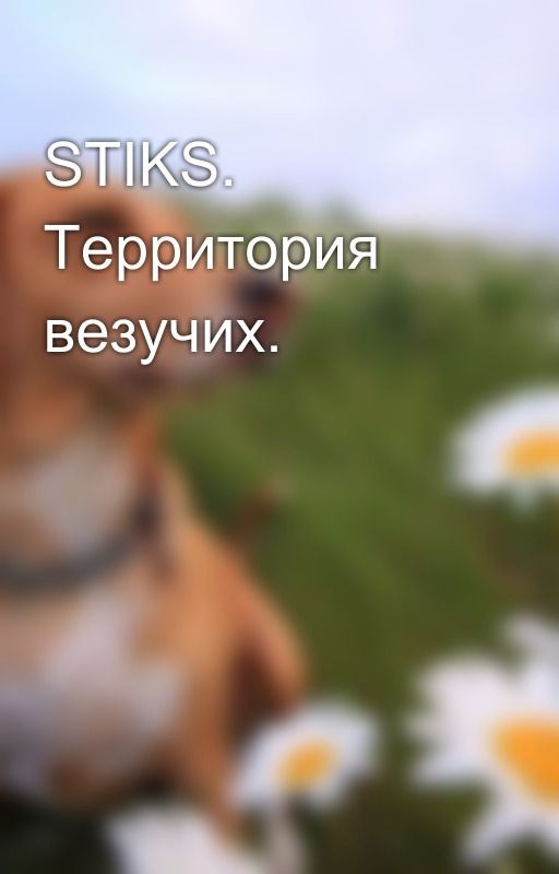 STIKS. Территория везучих
