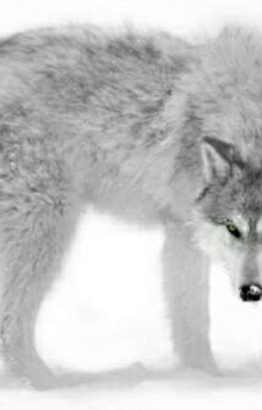 История одной Волчицы 2