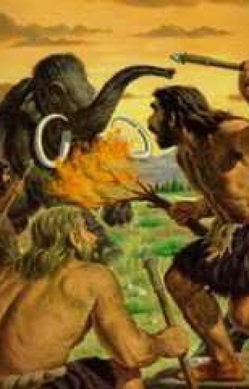Томек среди охотников за человеческими головами.  Альфред Шклярский