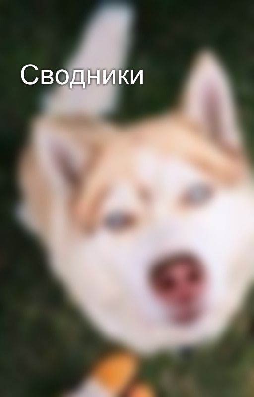 Сводники