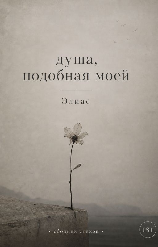 душа, подобная моей