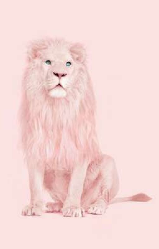 Тексты популярных песен