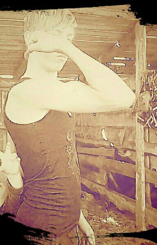 крыша едет я не виновата