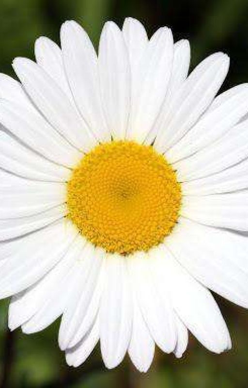 Люди никогда нас не поймут