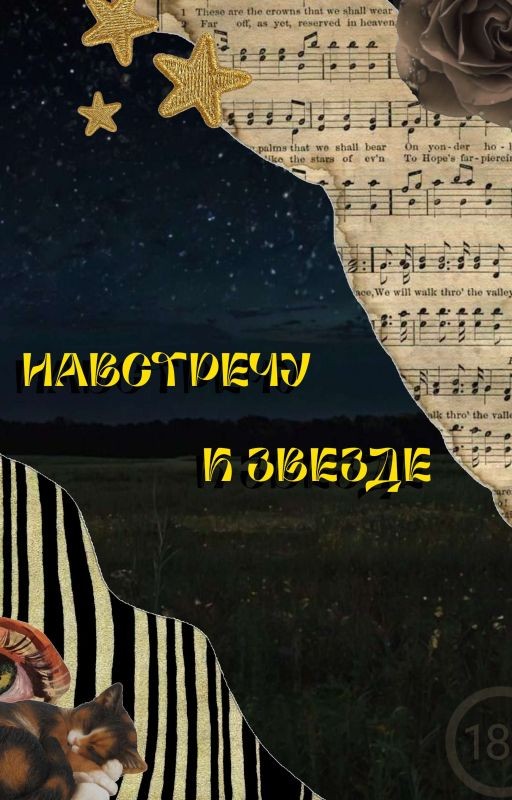 навстречу к звезде