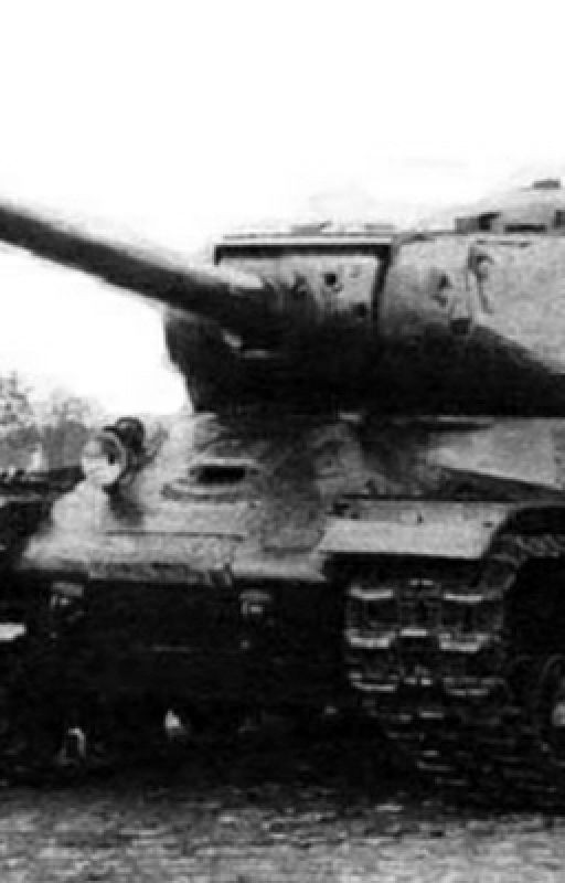 Зверобой