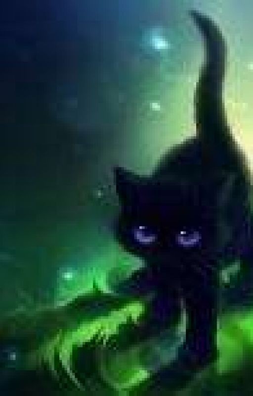 Перерождение в.. ну, конечно, кота|Reincarnation in.. well, of course, a cat