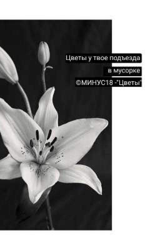 Стихи . Грустно о Грустном