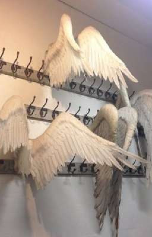 Крики этих стен