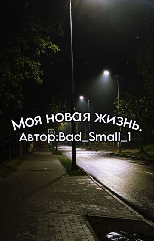 Моя новая жизнь