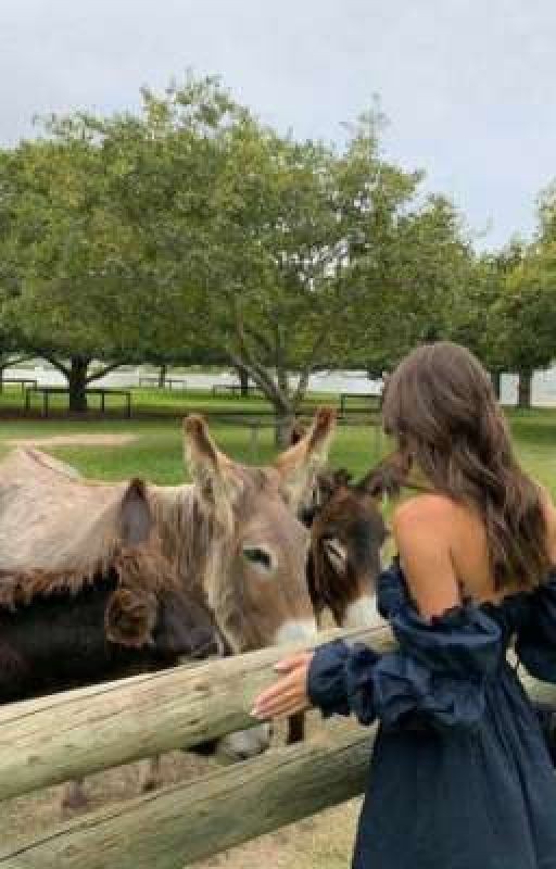 это не девачка а ,беда