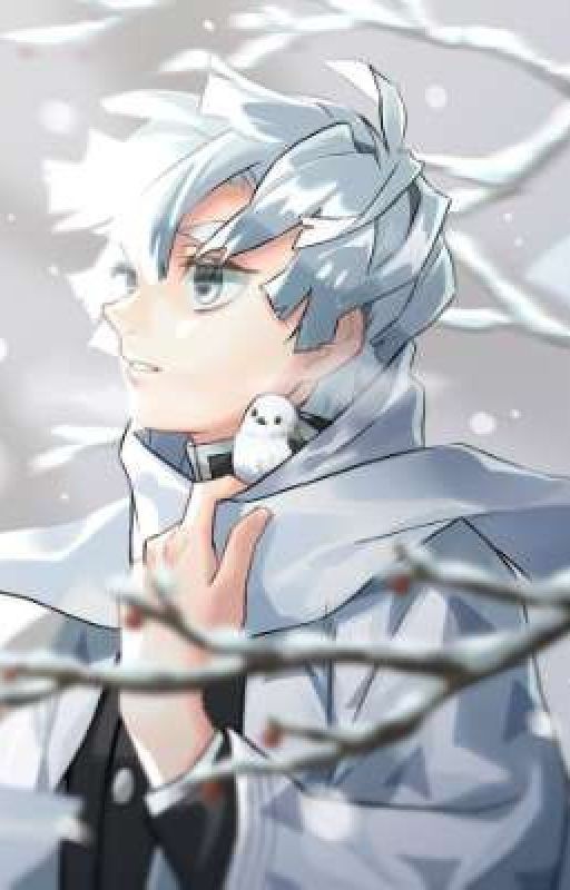 Брат Зеницу