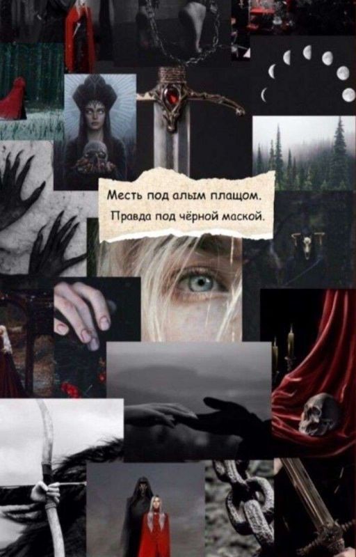 Месть под алыми плащами. Правда под чёрной маской